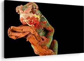 Tablou cu cameleon pe creangă (90x60 cm)