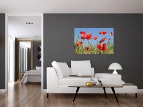 Tablou - Maci (90x60 cm)