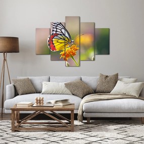 Tablou - Fluture pe floare (150x105 cm)