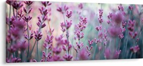 Tablou - Lavandă (120x50 cm)