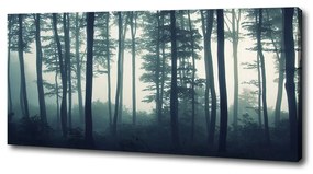 Tablou canvas Pădure în ceață