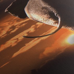 Tablou cu elefant (120x50 cm)