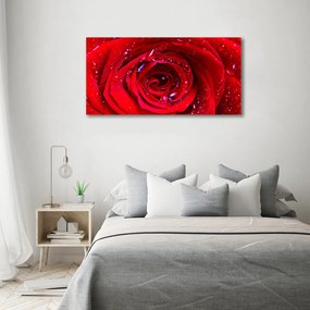 Imprimare tablou canvas Trandafir