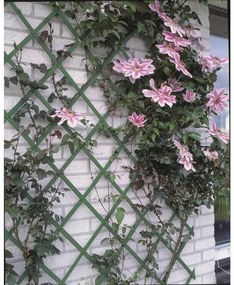 Nature Gard de gradina tip Trellis, 50 x 150 cm PVC, verde, 6040702 1, Verde, 50 x 150 cm