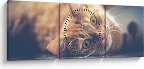 Tablou - Pisici pe podea (cu ceas) (90x30 cm)