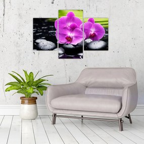 Tablou - Orhidee (90x60 cm)