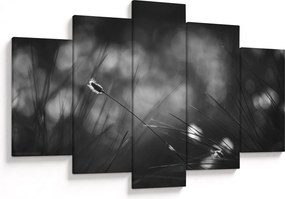 Tablou - Iarbă de pajiște (150x105 cm)
