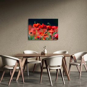 Tablou pe sticlă - flori de maci (70x50 cm)
