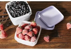 Set de recipiente SmartStore de plastic pentrucongelator 6 buc, lavanda, 300 ml, 300 ml