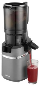 Storcător melcat pentru fructe și legume Concept LO7120 JUICY 250W/230V gri