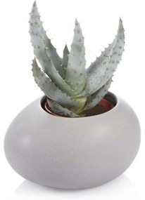 Tescoma Cutie pentru ghiveci mic FANCY HOMEStones, gri