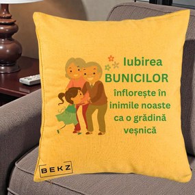 Cadou pentru Bunici - Perna Personalizata Bunicii Iubirea Infloreste cu Nepoata Teal, 40x40 cm, Galben, Husa Detasabila, Perna Inclusa, BEKZ®