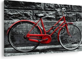 Tablou - Bicicleta istorică (90x60 cm)