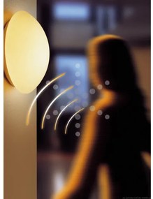 Plafonieră de exterior cu senzor STEINEL 738013-RS16L 1xE27/60W/230V IP44