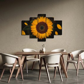 Tablou - Floarea soarelui și petale (150x105 cm)