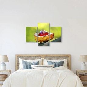 Tablou cu castani (90x60 cm)
