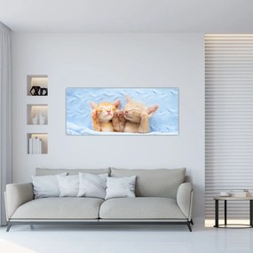 Tablou - Pisicuțe adormite (120x50 cm)