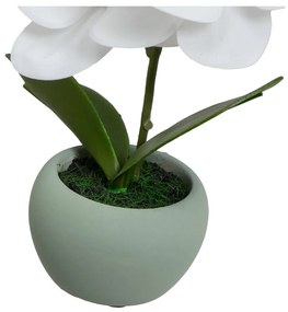 Plante artificiale 3 buc. (înălțime 15 cm) Orchid – Casa Selección