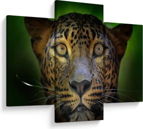 Tablou - Portretul leoparduslui, Sri Lanka (90x60 cm)