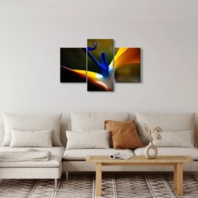Tablou - Floare exotică (90x60 cm)