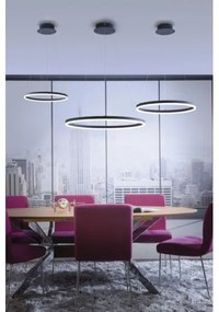 Lustră LED pe cablu dimabilă TITUS LED/38,5W/230V Paul Neuhaus 2382-13