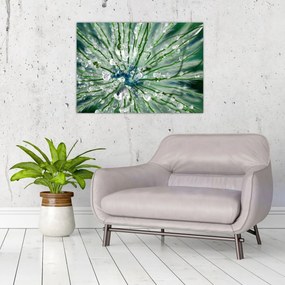Tablou pe sticlă - Imagine macro a unei flori (70x50 cm)