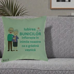Cadou pentru Bunici - Perna Personalizata Bunicii Iubirea Infloreste Cuplu Senior Teal, 40x40 cm, Verde, Husa Detasabila, Perna Inclusa, BEKZ®