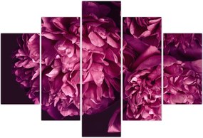 Tablou - Floarea bujorului (150x105 cm)