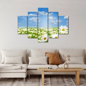 Tablou cu luncă înflorită cu margarete (150x105 cm)