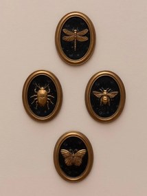 Set 4 tablouri polyrasina cu insecte " Entomology "
