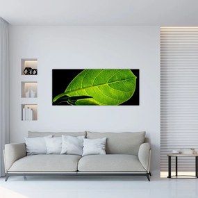Tablou - frunză verde (120x50 cm), în 40 de alte dimensiuni noi