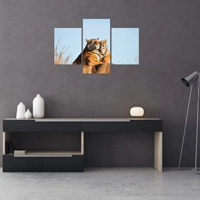 Tablou - Tigroaica cu pui (90x60 cm)