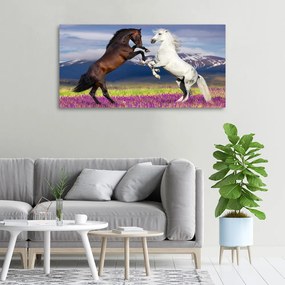 Tablou canvas Cai de luptă în avans