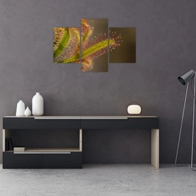 Tablou cu plantă (90x60 cm)