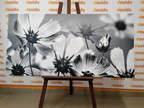 Tablou flori de grădină în design alb-negru