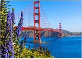 Tablou - Podul Golden Gate, San Francisco (70x50 cm)