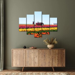Tablou cu farma de lalele (150x105 cm)