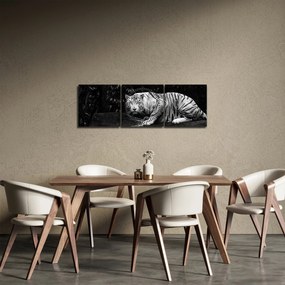 Tablou - Tigru alb, alb-negru (cu ceas) (90x30 cm)