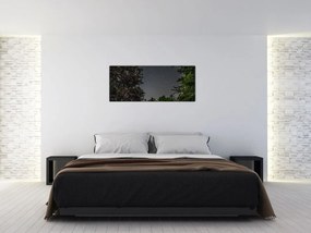 Tablou cu cerul nocturn (120x50 cm)