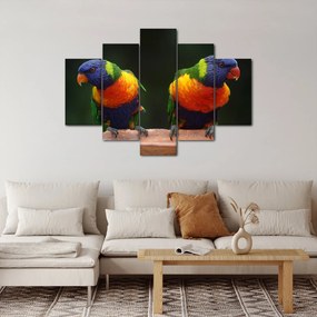 Tablou cu papagali (150x105 cm)