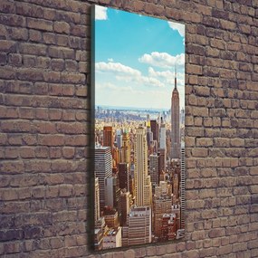 Print pe pânză New York pasăre de zbor