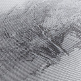 Tablou - Iarnă albă (150x105 cm)