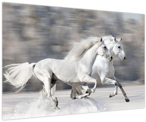 Tablou - Cai albi în timpul iernii (90x60 cm)