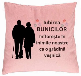 Perna Decorativa pentru Bunici 1, 40x40 cm, Roz, Husa Detasabila, Burduf