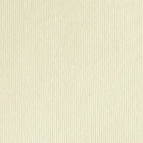 Carton texturat dali bianco 285gr
