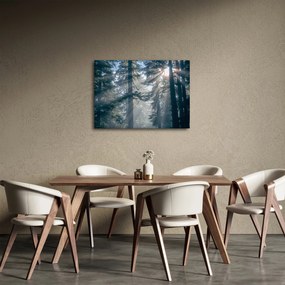 Tablou cu copaci și soarele translucind (70x50 cm)