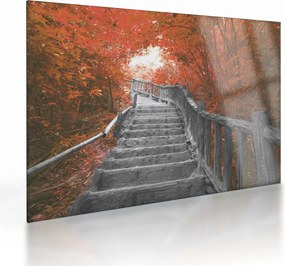 Tablou pe sticlă - Scări în natură, portocaliu (70x50 cm)