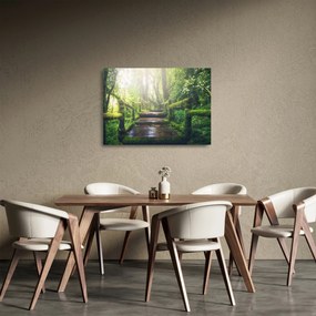 Tablou pe sticlă - trepte din lemn în pădure (70x50 cm)