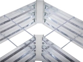 Pat ridicat de plante Magnolia – Garden Pleasure