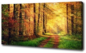 Pictură pe pânză Pădure în toamna